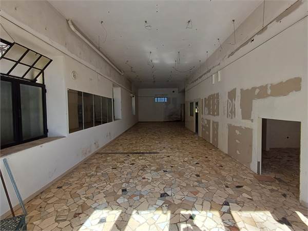 Commercial Premises / Showrooms for rent in Frosinone